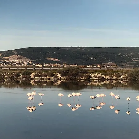 Flamants Roses 1 Pers 6 * Frontignan