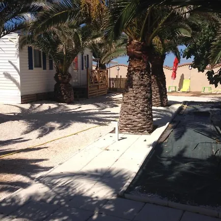 Flamants Roses 1 Pers 6 فرونتينيان