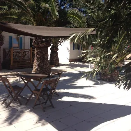 Flamants Roses 1 Pers 6