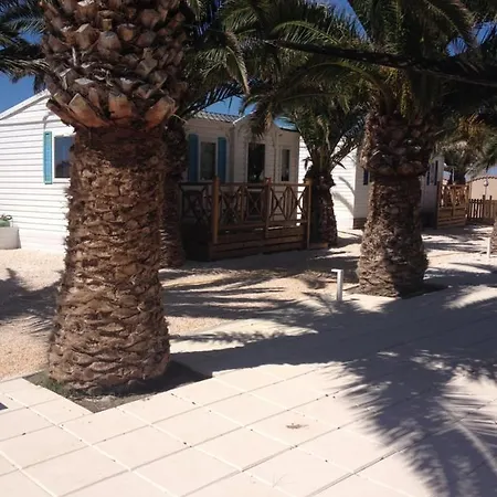 Flamants Roses 1 Pers 6 *