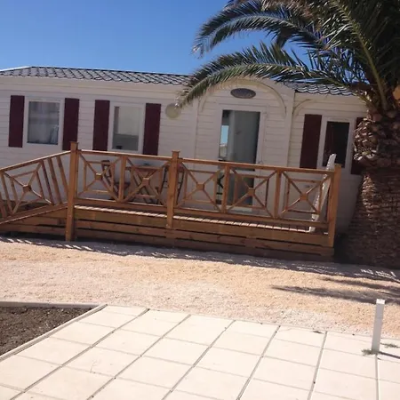 Flamants Roses 1 Pers 6 فرونتينيان