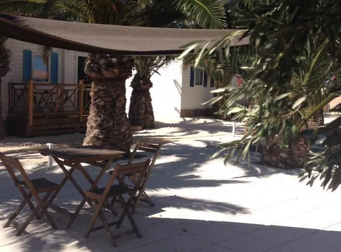 Flamants Roses 1 Pers 6